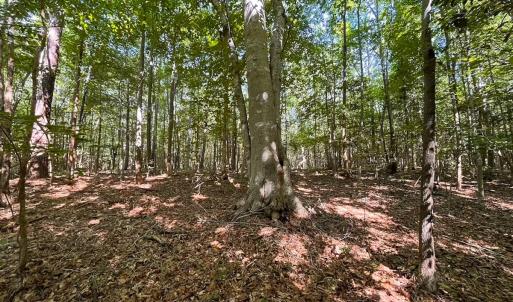 Photo #20 of Off of Hills Dr, Dewitt, VA 27.0 acres