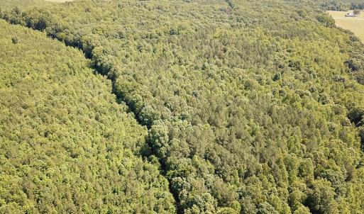 Photo #21 of Off of Hills Dr, Dewitt, VA 27.0 acres