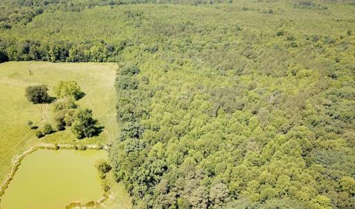 Photo #2 of Off of Hills Dr, Dewitt, VA 27.0 acres