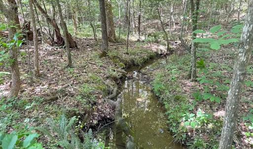 Photo #22 of Off of Hills Dr, Dewitt, VA 27.0 acres