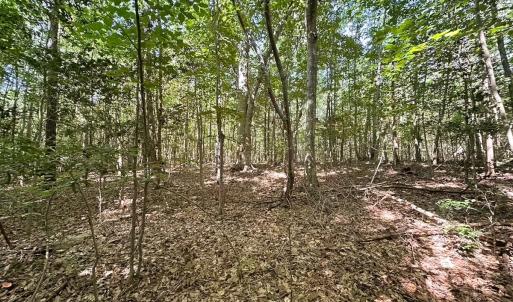 Photo #25 of Off of Hills Dr, Dewitt, VA 27.0 acres