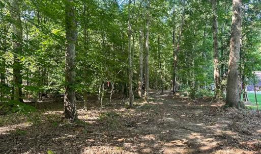 Photo #26 of Off of Hills Dr, Dewitt, VA 27.0 acres