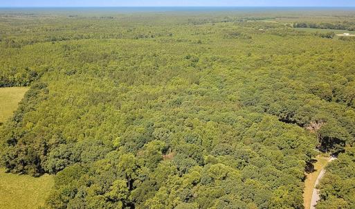 Photo #27 of Off of Hills Dr, Dewitt, VA 27.0 acres
