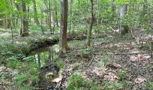 Photo #28 of Off of Hills Dr, Dewitt, VA 27.0 acres