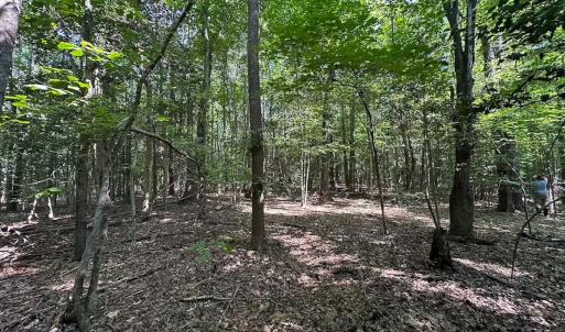 Photo #29 of Off of Hills Dr, Dewitt, VA 27.0 acres