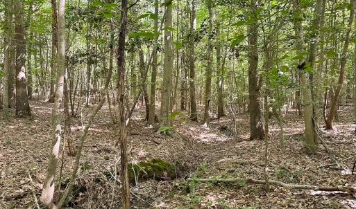 Photo #30 of Off of Hills Dr, Dewitt, VA 27.0 acres