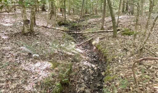 Photo #31 of Off of Hills Dr, Dewitt, VA 27.0 acres