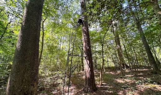 Photo #32 of Off of Hills Dr, Dewitt, VA 27.0 acres
