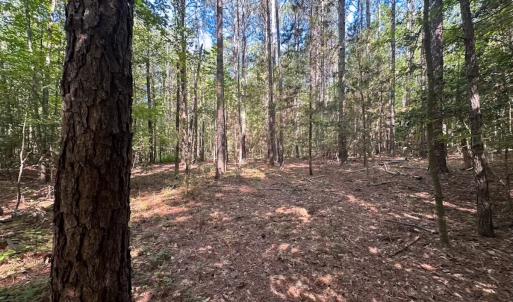 Photo #35 of Off of Hills Dr, Dewitt, VA 27.0 acres