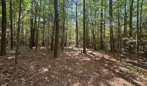 Photo #36 of Off of Hills Dr, Dewitt, VA 27.0 acres