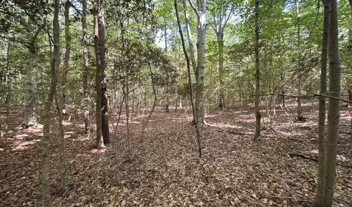 Photo #37 of Off of Hills Dr, Dewitt, VA 27.0 acres
