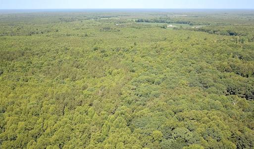 Photo #38 of Off of Hills Dr, Dewitt, VA 27.0 acres