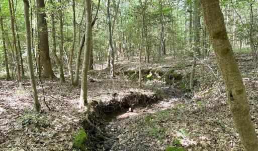 Photo #39 of Off of Hills Dr, Dewitt, VA 27.0 acres