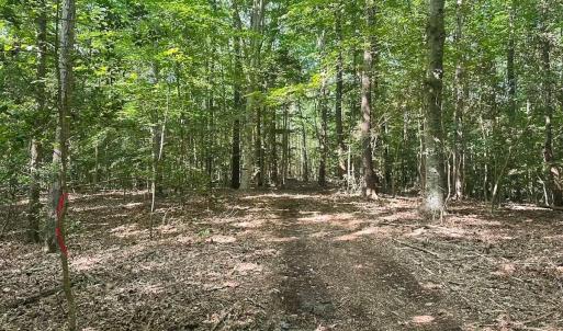 Photo #40 of Off of Hills Dr, Dewitt, VA 27.0 acres