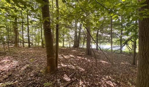 Photo #4 of Off of Hills Dr, Dewitt, VA 27.0 acres