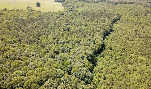 Photo #8 of Off of Hills Dr, Dewitt, VA 27.0 acres