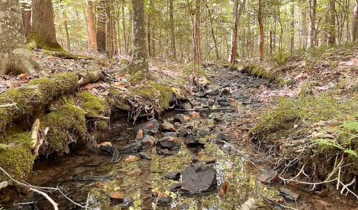 Photo #9 of Off of Hills Dr, Dewitt, VA 27.0 acres