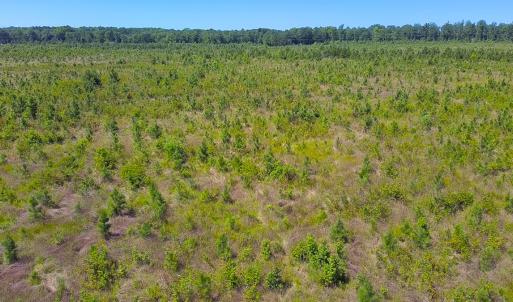 Photo #10 of Off of Moore's Ferry Rd, Skippers, VA 229.0 acres