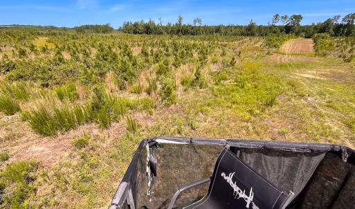 Photo #12 of Off of Moore's Ferry Rd, Skippers, VA 229.0 acres
