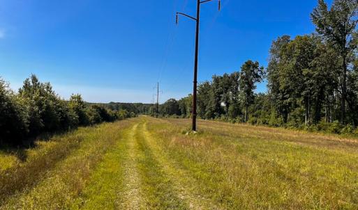 Photo #13 of Off of Moore's Ferry Rd, Skippers, VA 229.0 acres