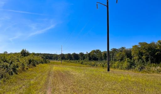 Photo #14 of Off of Moore's Ferry Rd, Skippers, VA 229.0 acres