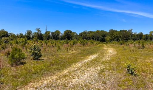 Photo #15 of Off of Moore's Ferry Rd, Skippers, VA 229.0 acres