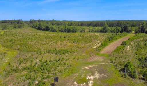 Photo #17 of Off of Moore's Ferry Rd, Skippers, VA 229.0 acres