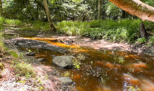 Photo #18 of Off of Moore's Ferry Rd, Skippers, VA 229.0 acres
