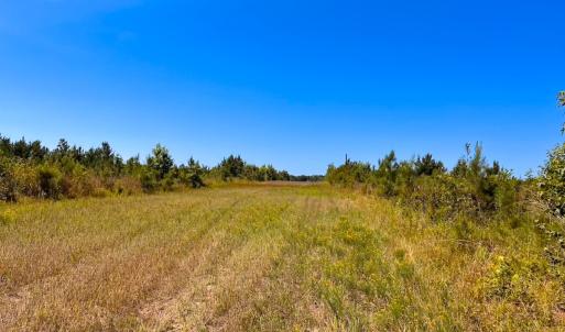 Photo #19 of Off of Moore's Ferry Rd, Skippers, VA 229.0 acres