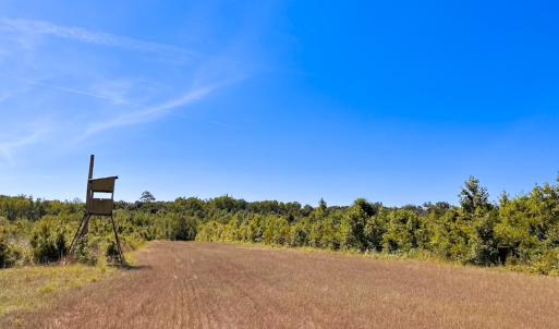 Photo #20 of Off of Moore's Ferry Rd, Skippers, VA 229.0 acres