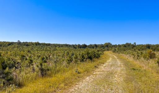 Photo #21 of Off of Moore's Ferry Rd, Skippers, VA 229.0 acres