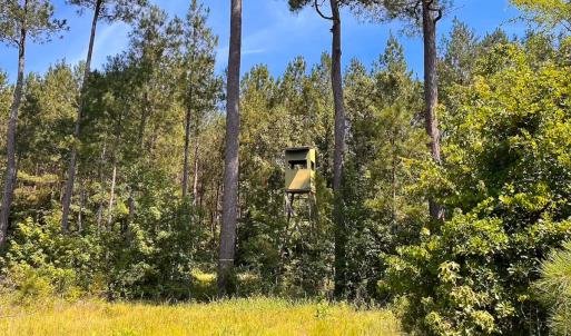 Photo #22 of Off of Moore's Ferry Rd, Skippers, VA 229.0 acres