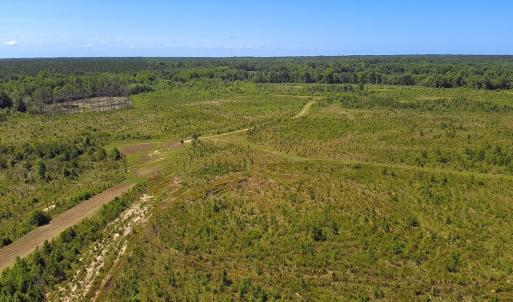 Photo #23 of Off of Moore's Ferry Rd, Skippers, VA 229.0 acres