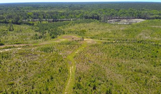 Photo #24 of Off of Moore's Ferry Rd, Skippers, VA 229.0 acres