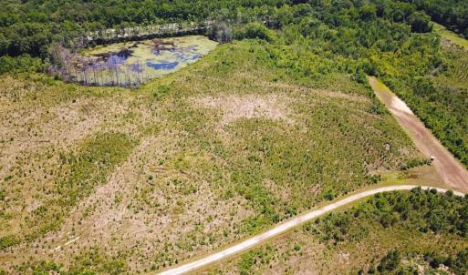 Photo #25 of Off of Moore's Ferry Rd, Skippers, VA 229.0 acres