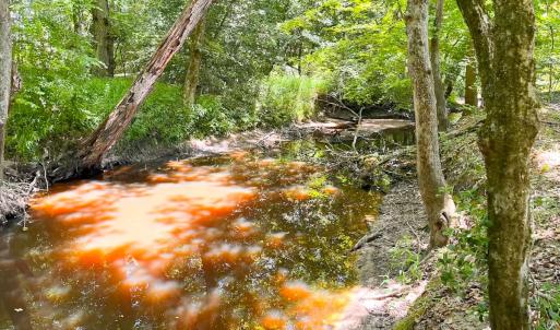 Photo #26 of Off of Moore's Ferry Rd, Skippers, VA 229.0 acres