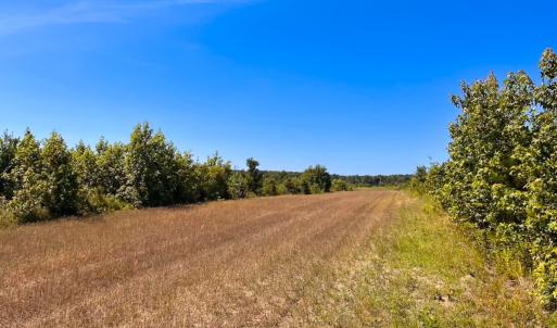 Photo #27 of Off of Moore's Ferry Rd, Skippers, VA 229.0 acres