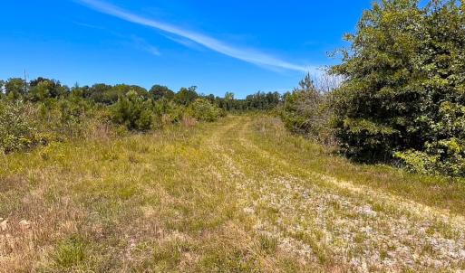 Photo #28 of Off of Moore's Ferry Rd, Skippers, VA 229.0 acres