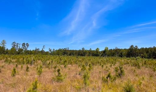 Photo #29 of Off of Moore's Ferry Rd, Skippers, VA 229.0 acres
