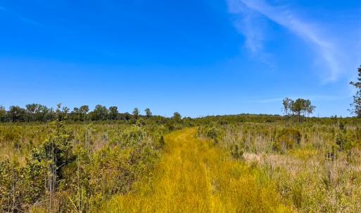 Photo #30 of Off of Moore's Ferry Rd, Skippers, VA 229.0 acres