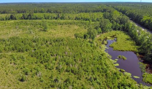 Photo #32 of Off of Moore's Ferry Rd, Skippers, VA 229.0 acres