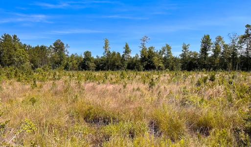 Photo #33 of Off of Moore's Ferry Rd, Skippers, VA 229.0 acres