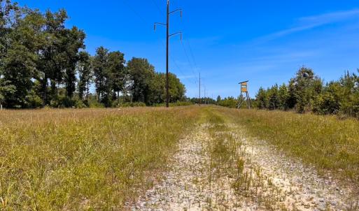 Photo #34 of Off of Moore's Ferry Rd, Skippers, VA 229.0 acres