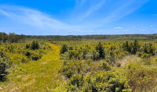 Photo #35 of Off of Moore's Ferry Rd, Skippers, VA 229.0 acres