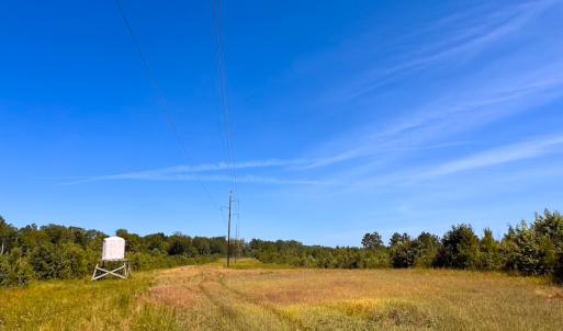 Photo #36 of Off of Moore's Ferry Rd, Skippers, VA 229.0 acres