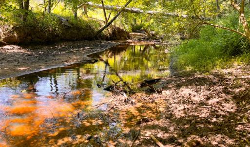 Photo #37 of Off of Moore's Ferry Rd, Skippers, VA 229.0 acres