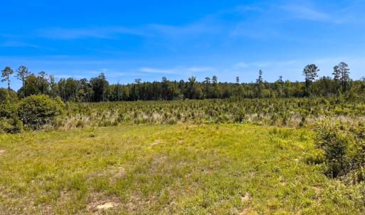 Photo #38 of Off of Moore's Ferry Rd, Skippers, VA 229.0 acres