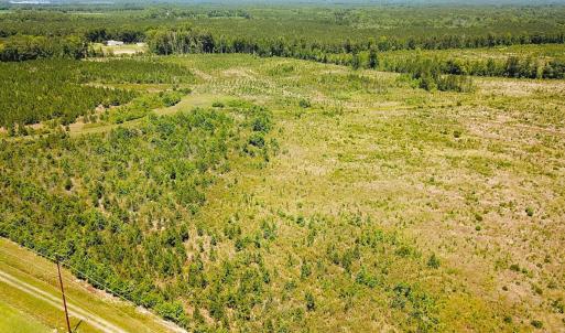 Photo #39 of Off of Moore's Ferry Rd, Skippers, VA 229.0 acres