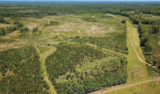 Photo #4 of Off of Moore's Ferry Rd, Skippers, VA 229.0 acres