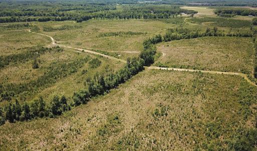 Photo #40 of Off of Moore's Ferry Rd, Skippers, VA 229.0 acres